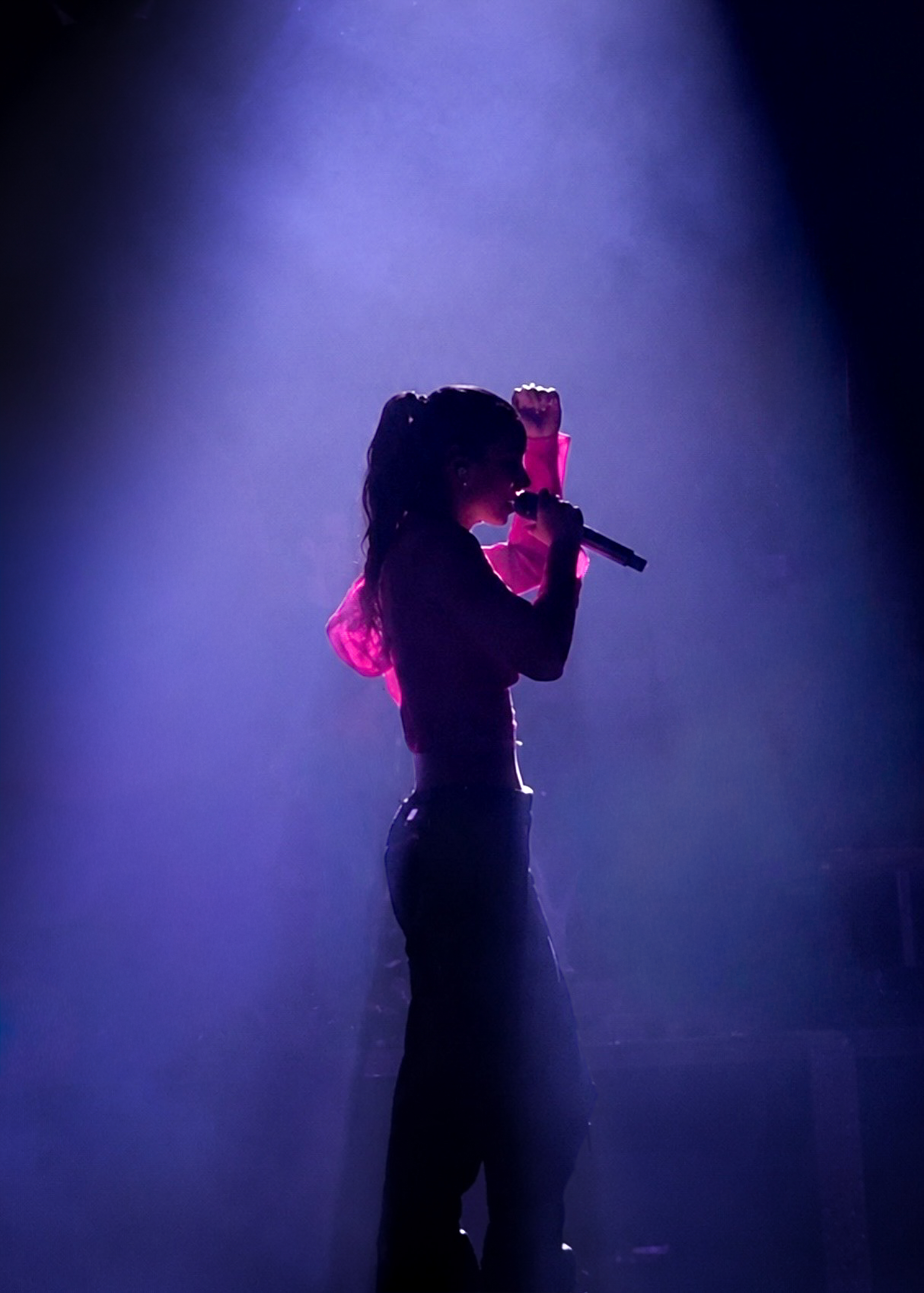 A singer silhouetted onstage against purple light, holding a microphone.